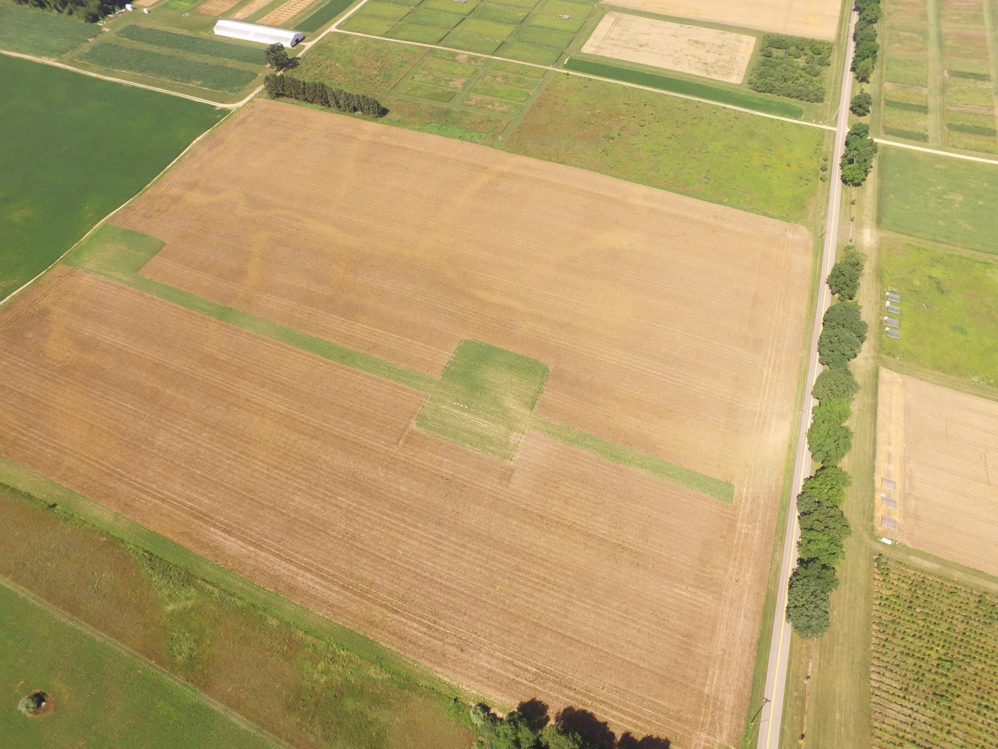 An aerial view of a field with a prairie strip down the middle of the field